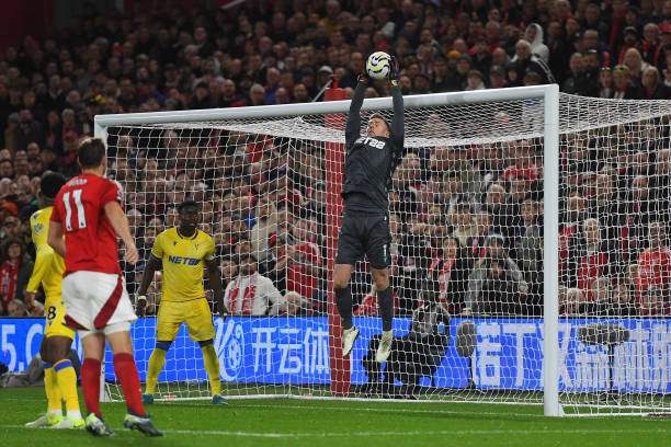 基本赛季初 基本赛季初